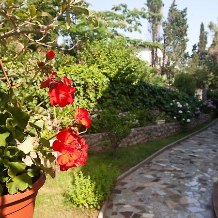 Bed & Breakfast Mario Krk Town Extérieur photo